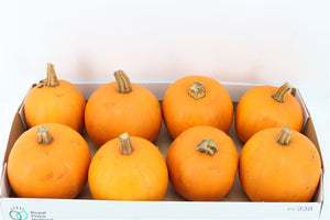 Halloween Decorative Pumpkin – Orange