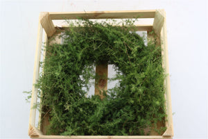 Pale Pink Asparagus Wreath – 40cm