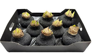 Grey Wax Hipp Topiary Decoration – 20cm