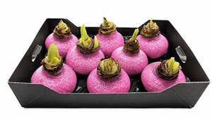 Pink Wax Hipp Topiary Decoration – 20cm