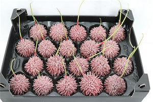 Red Wax Flower Candle Decoration