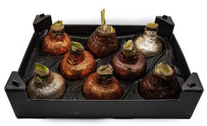 Copper Waxed Decorative Stems – 20cm