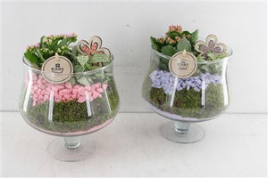 Elise Arrangement in Raised Bowl – 18cm