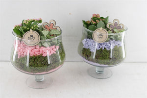 Elise Arrangement in Raised Bowl – 18cm