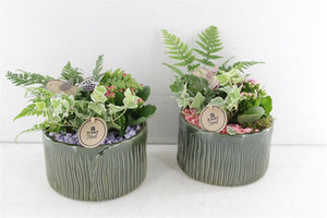 Dark Green Plant Arrangement – 18cm Pot
