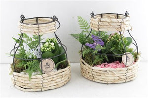 Pink and White Flower Arrangement – 20cm Pot