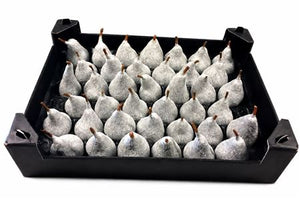 Silver Waxed Plant Decoration