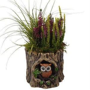 Autumn Outdoor Plant Arrangement – 17cm Decorative Pot