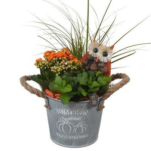Autumn Indoor Plant Arrangement in Zinc Pot – 14cm
