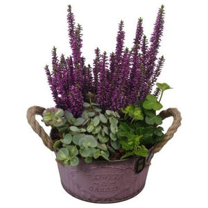Autumn Outdoor Arrangement in Zinc Pot – 16cm
