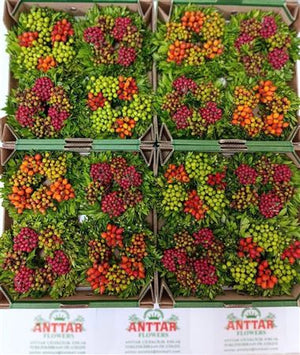 Mixed Colour Decorative Plant Wreath – 20cm