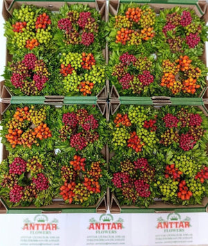 Mixed Colour Decorative Plant Wreath – 20cm