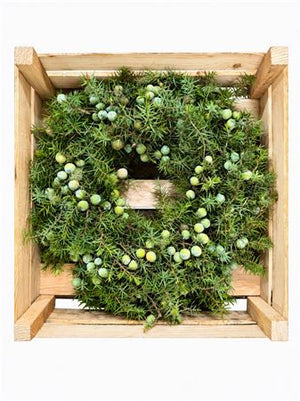 Green Juniper Pine Wreath – 40cm