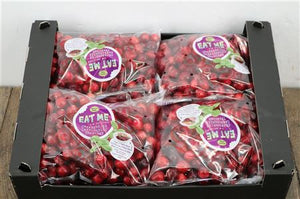 Red Cranberry Ornamental Fruit Plant