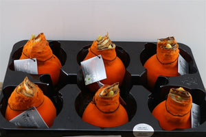 Orange Wax Hipp Velvet Christmas Decoration – 32cm