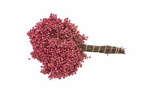 Pink Schinus Foliage Bunch – Approx. 35–49cm
