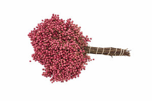Pink Schinus Foliage Bunch – Approx. 35–49cm