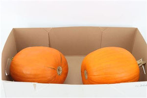 Orange Ornamental Pumpkin – Large Decorative Fruit