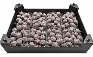 Grey Wax Apple Decoration