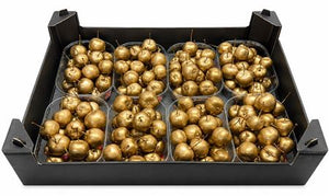 Gold Wax Apple Decorative Stems