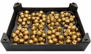 Gold Wax Apple Branches – Decorative Dried Stems