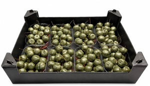 Green Wax Apple Decoration in Metallic Finish