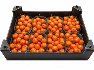 Orange Waxflower Decorative Stems
