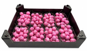Pink Wax Apple Branches – Decorative Botanical Stems