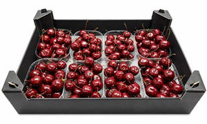 Red Wax Apple Branches – Decorative Home Display