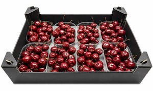 Red Waxflower Decorative Stems