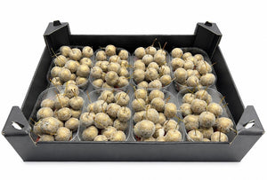 Gold Wax Apple Branches – Decorative Stems