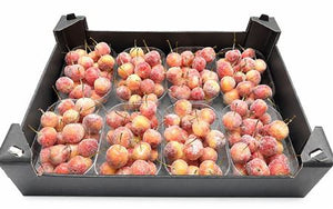 Gold Wax Apple Decorative Stems