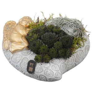 Heart-Shaped Concrete Plant Arrangement – 20cm