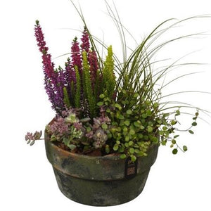 Autumn Outdoor Plant Arrangement – 20cm Terracotta Dish