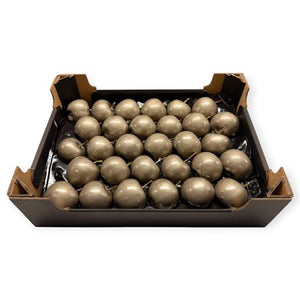 Grey Wax Apple Decorative Plant