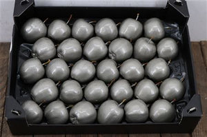 Grey Wax Apple Decorative Stems – 30 Pack