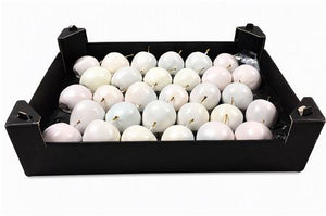 White Wax Apple Decorative Plant