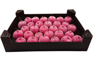 Fuchsia Wax Apple Decorative Plant
