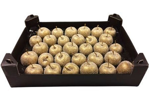 Gold Wax Apple Decorative Plant