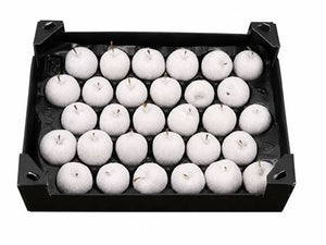 Ivory Wax Apple Decorative Fruit