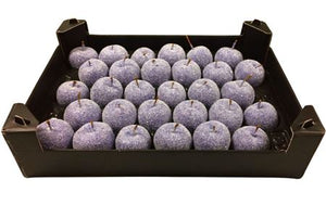 Lavender Wax Apple Decorative Plant