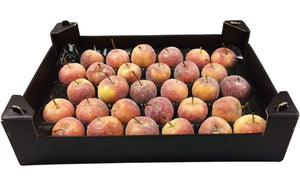 Natural Light Brown Wax Apple Decorative Stem
