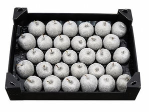 Silver Wax Apple Decorative Stems