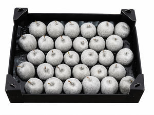 Silver Wax Apple Decorative Stems