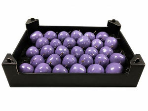 Lavender Wax Apple Decorative Plant