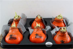 Orange Halloween Wax Decoration – 32cm