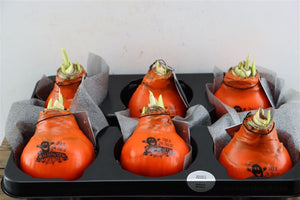 Orange Halloween Wax Decoration – 32cm
