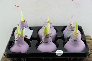 Purple Velvet Wax Decoration – 32cm