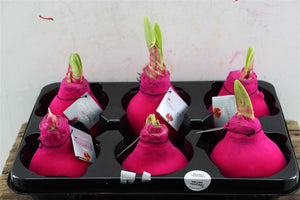Pink Wax Hipp Velvet Christmas Decoration – 32cm