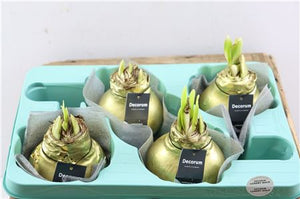 Luxury Gold Wax Christmas Decoration – 36cm